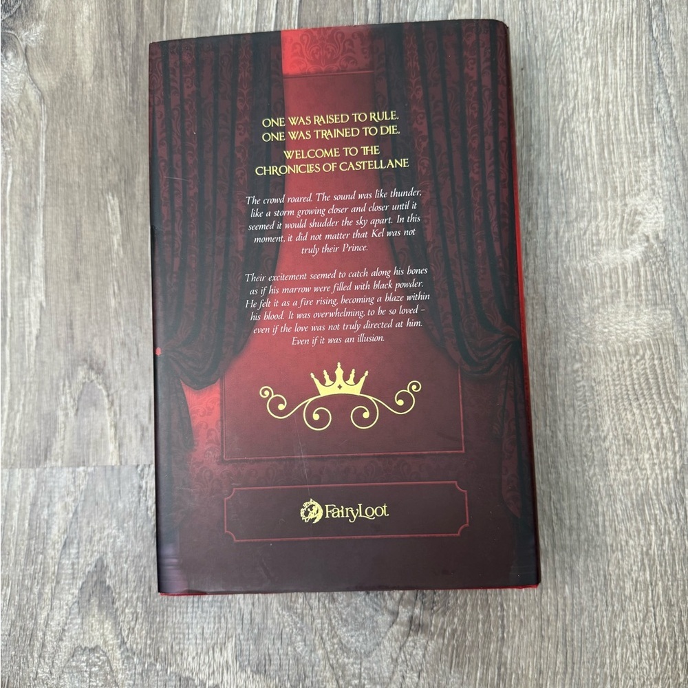(Special Edition) Fairyloot: Sword Catcher by Cassandra Clare - Picture 3 of 6